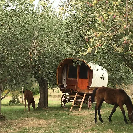Le De Кемпинг