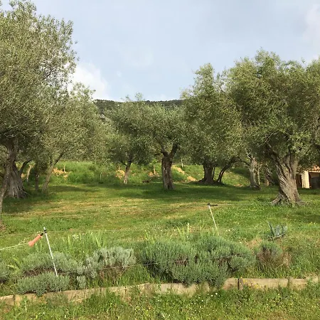 Le De * Cucugnan