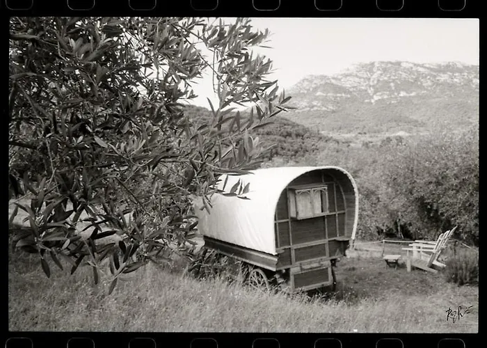 Camping Le De *